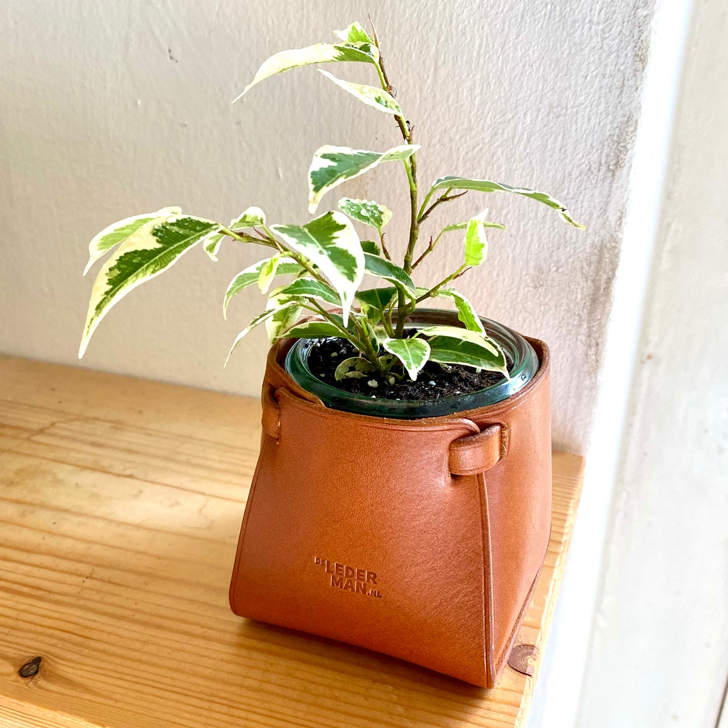Plantenbakje